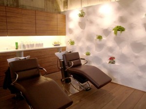 salon_img004